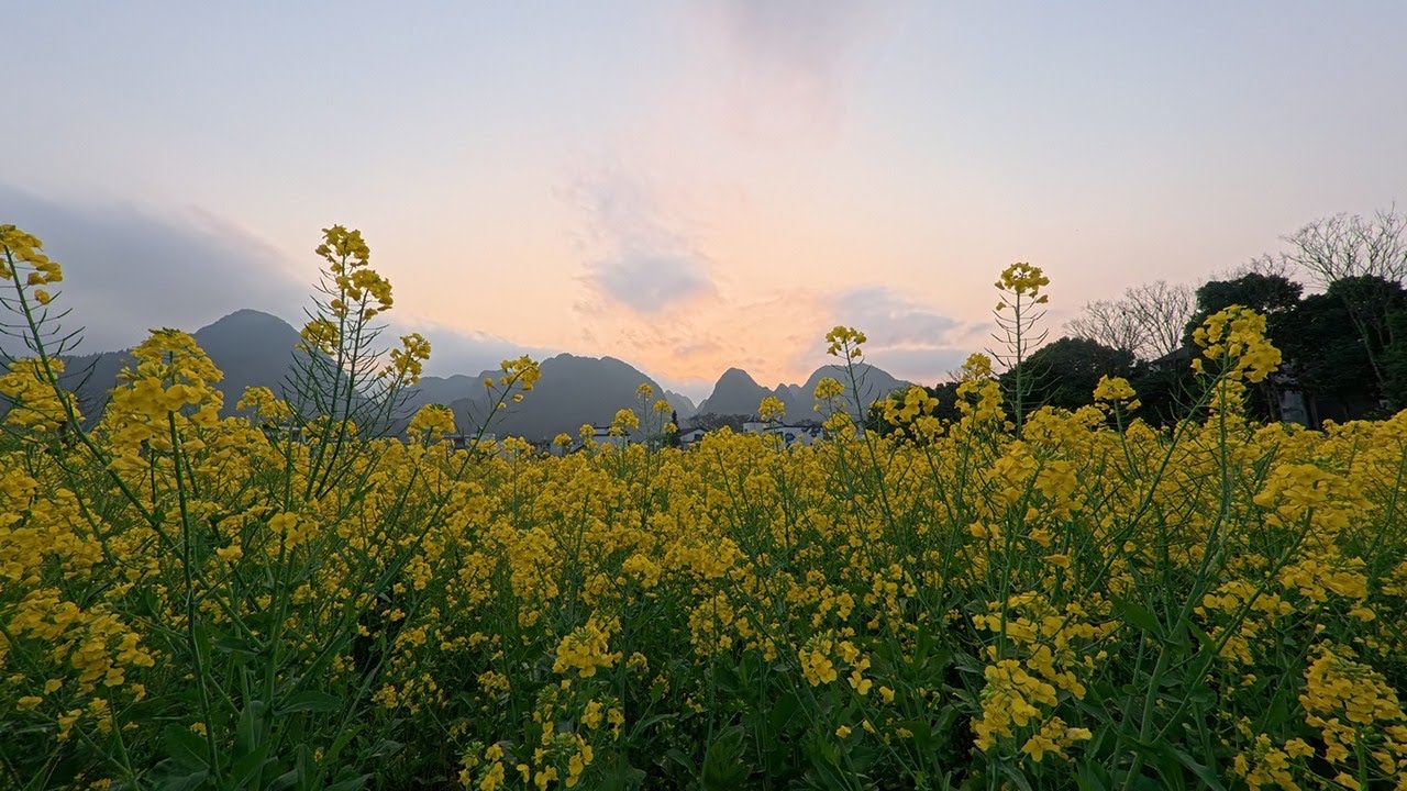 Forest of Ten Thousand Peaks, Xingyi, Guizhou Province