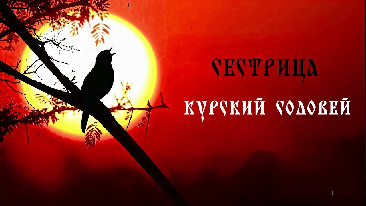 Сестрица-Курский соловей