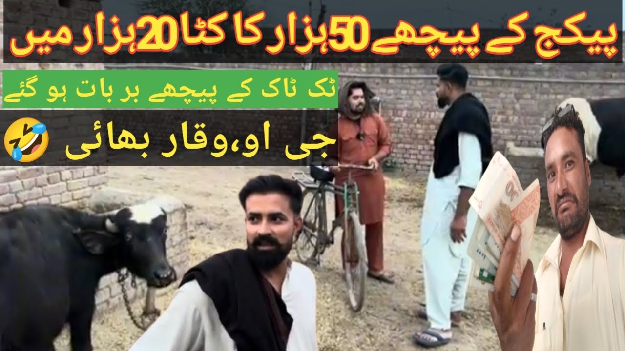 pakistan punjab village life vlog | indian villagevlog new l@sahirrindtech | chadu munda