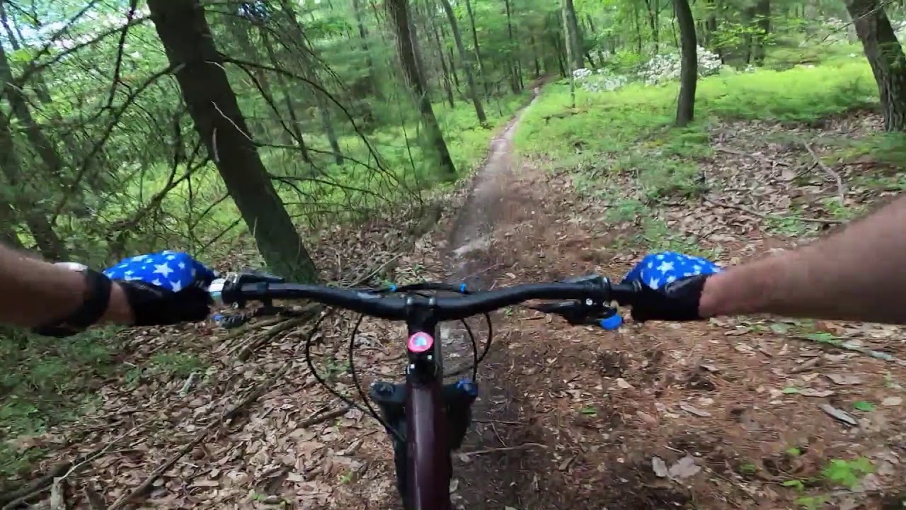 Southern Michaux st forest MTB dancing a hardtail