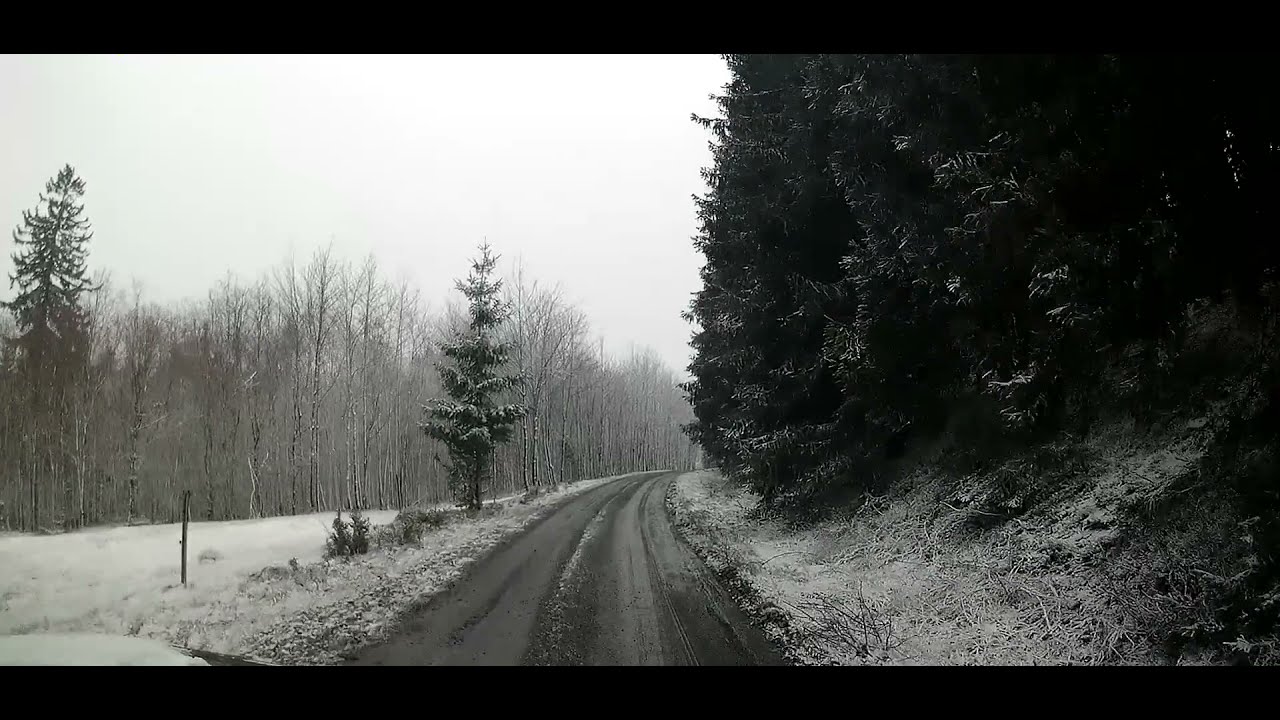 Dashcam - Von Gräfenthal durch Buchbach zur Kalten Küche.