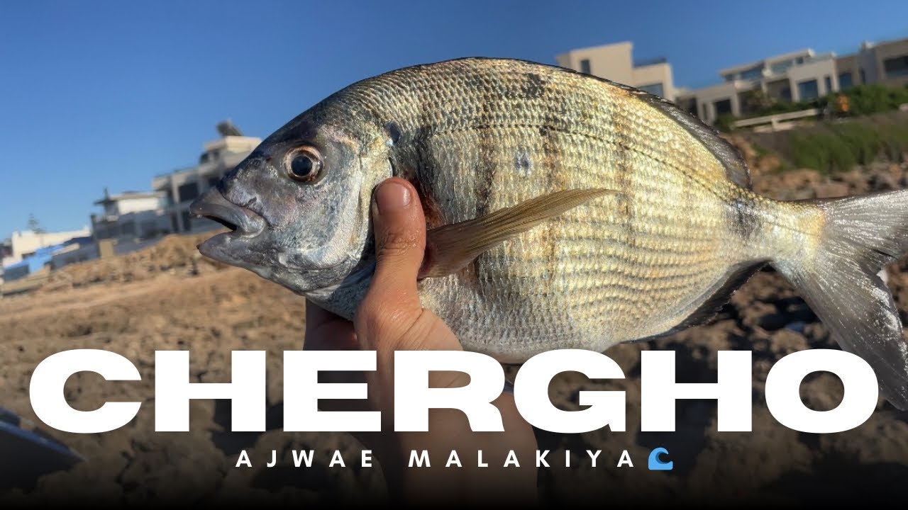 شوايةالسمك بجانب البحر🌊🤩🐟.  اجواء ملكية 🤍🤍