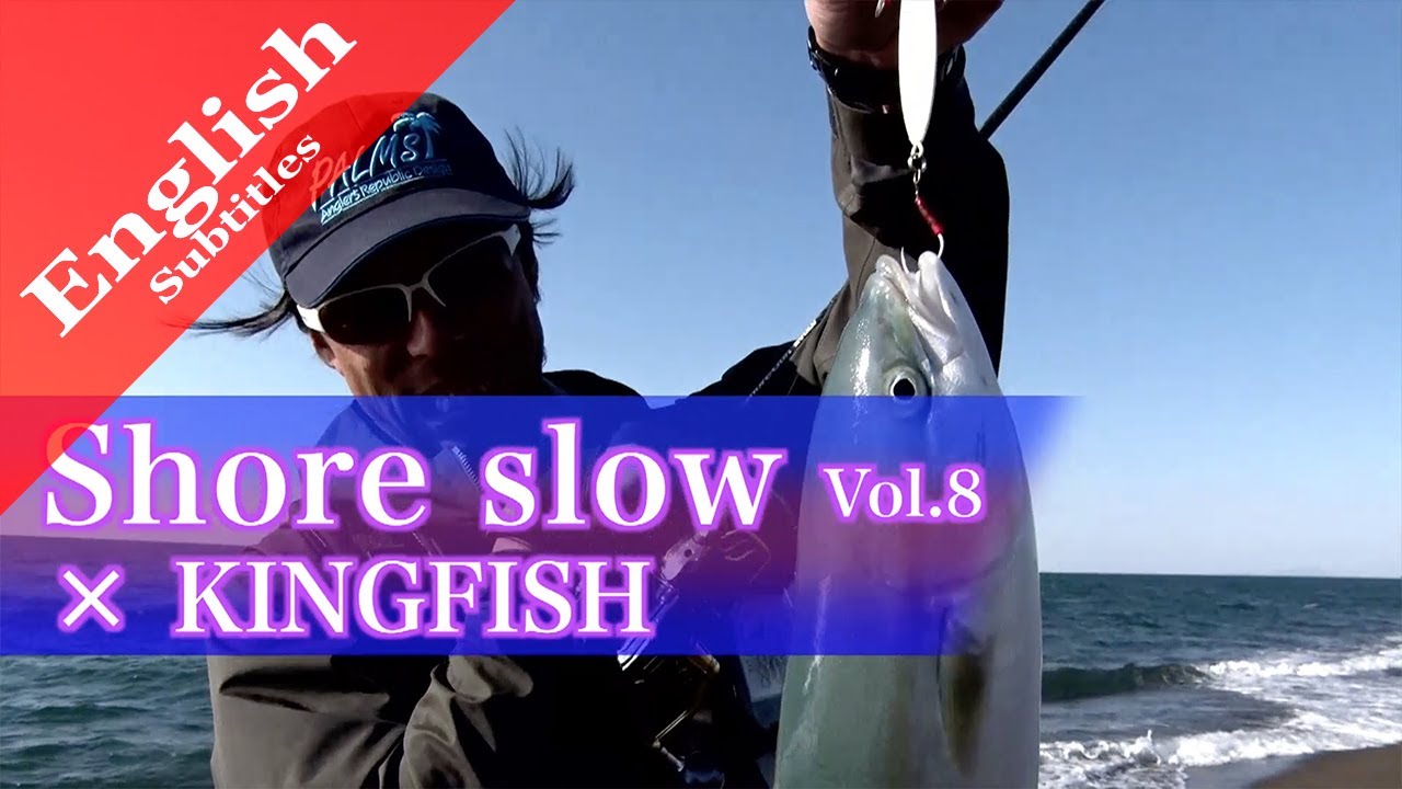 Shore slow vol.8 (Kingfish)
