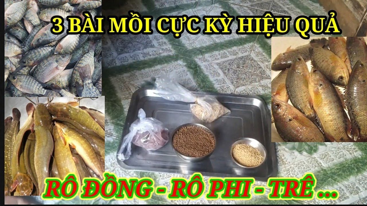 Chia sẻ 3 bài mồi xả ổ, mồi câu rô đồng, rô phi, trê... cực kỳ hiệu quả.