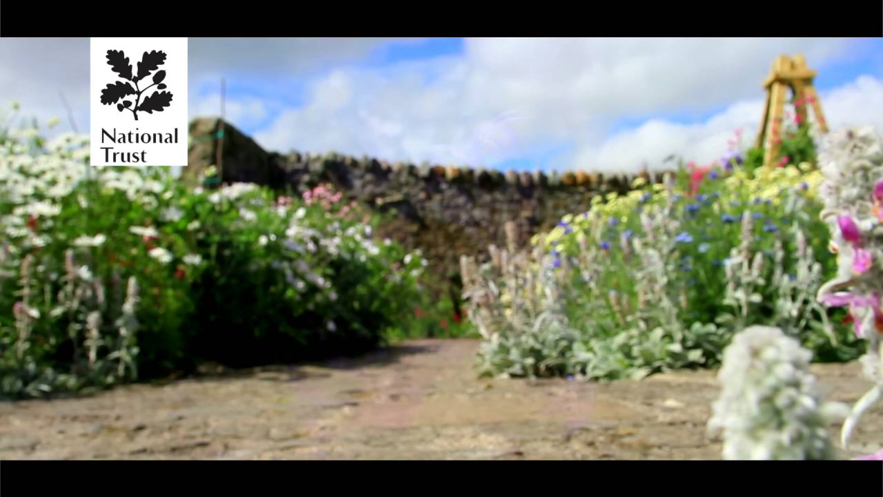 National Trust gardens in the North East
