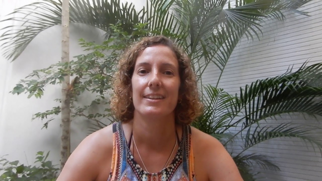 AudreLordeTheBerlinYears - on tour: BRAZIL 2