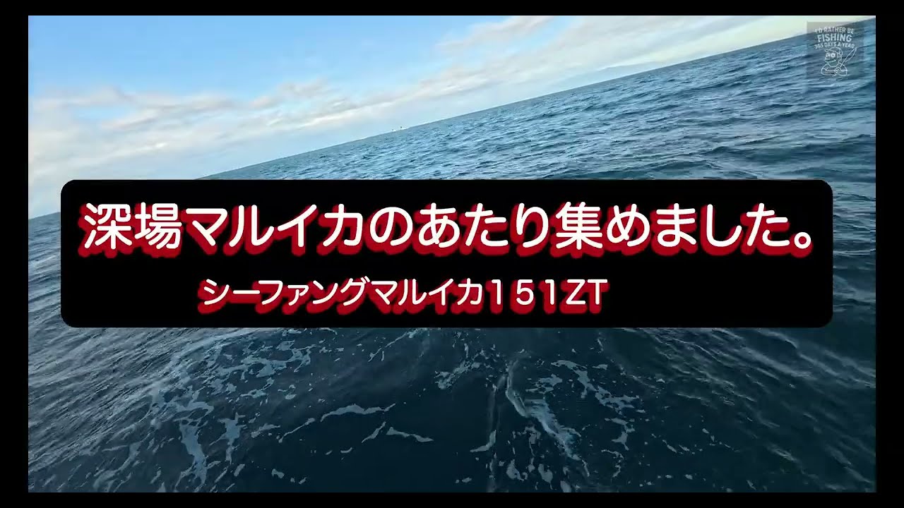 【4K】深場マルイカのあたり| 2026年3月