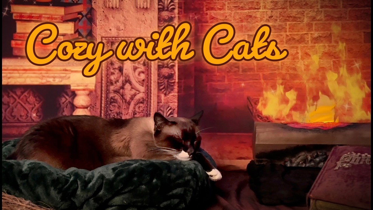 Vintage Holiday Ambience ✨ 6 hours of Soft Jazz, Fireplace Crackles & Cats