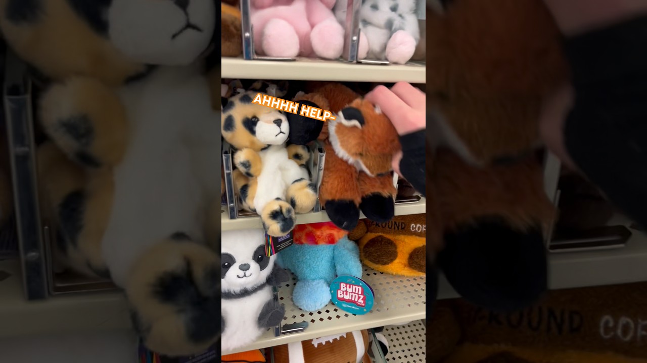 Забавные видеоролики с прогулки :P #essa #essacommunity #s0da #outingvlog #fun #silly #hobbylobby