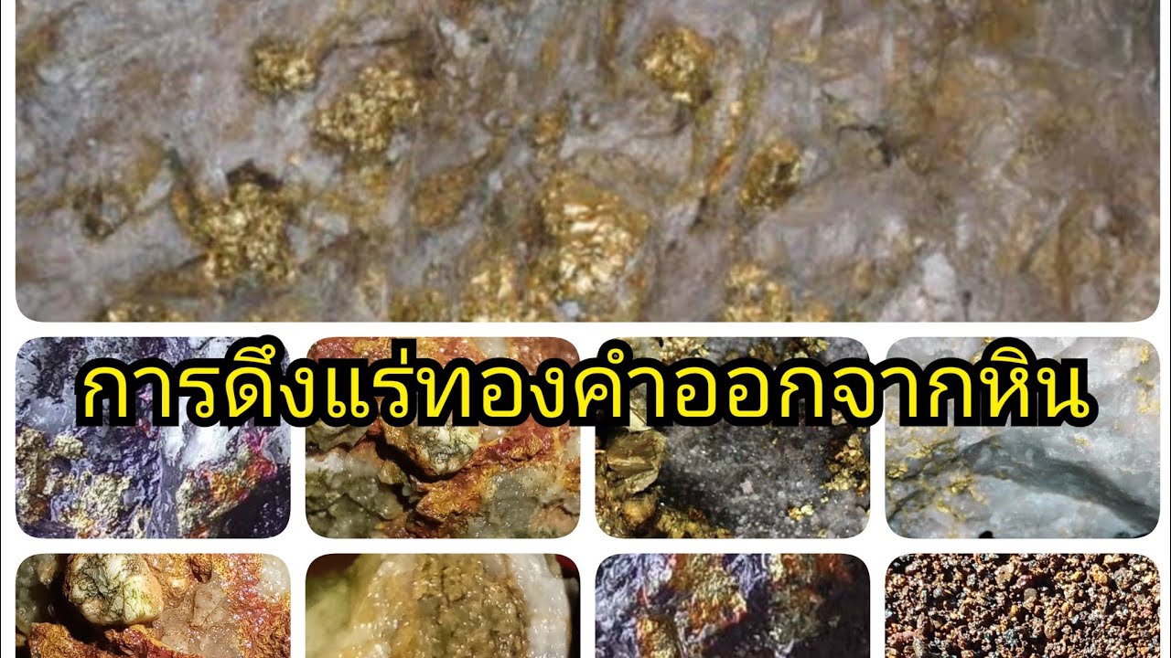 การดึงแร่ทองคำในหินที่มองด้วยตาเปล่าไม่เห็น