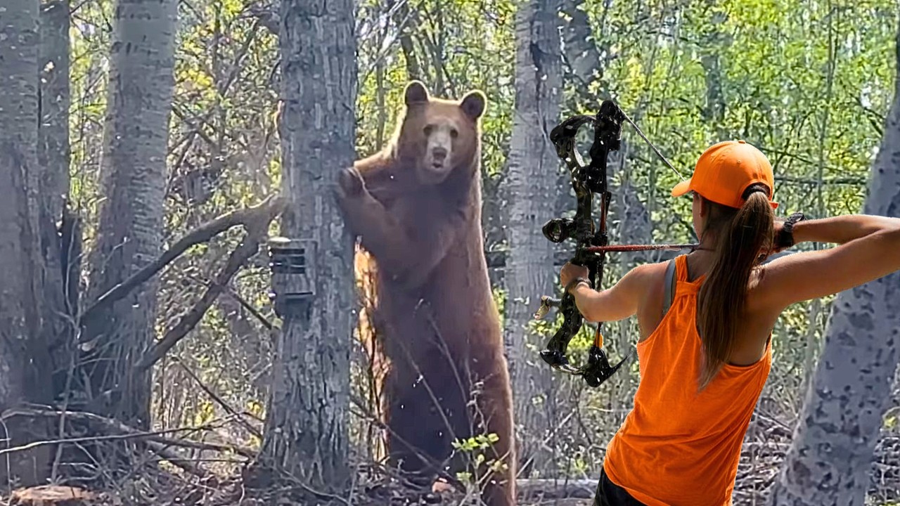 Girl Shoots HUGE Black Bear with a Bow! Too Close For Comfort!!