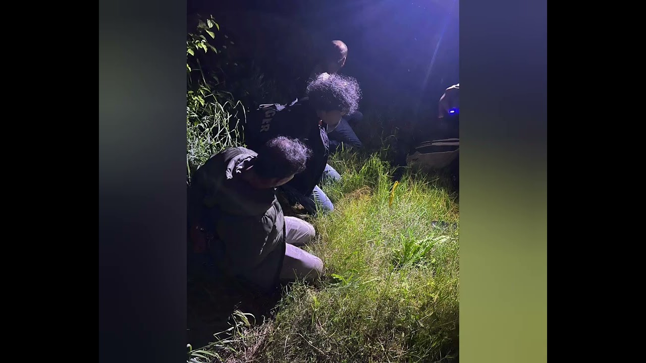 Grupare criminală specializată în migrație ilegală, destructurată de Poliția de Frontieră la Ungheni