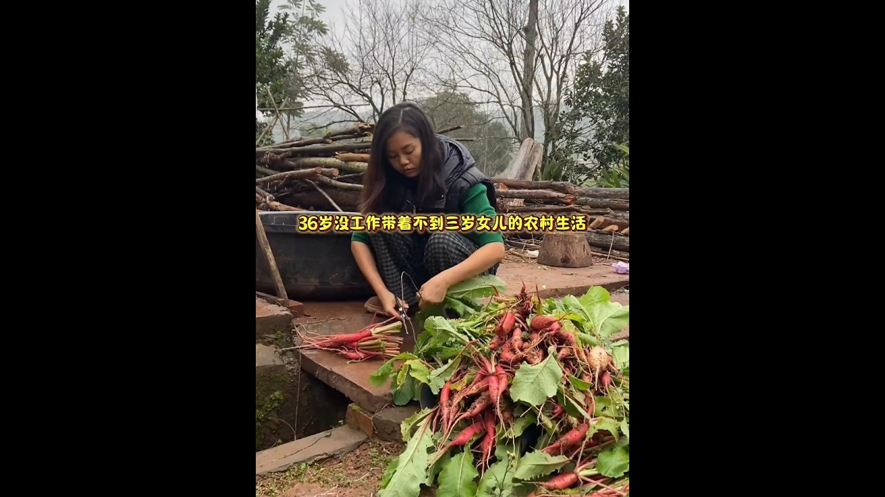 今天扯了好多萝卜，还沙了一只九斤多的母鸡#乡村生活视频 #蔬菜 #新农人计划2025#单亲妈妈#暖贴