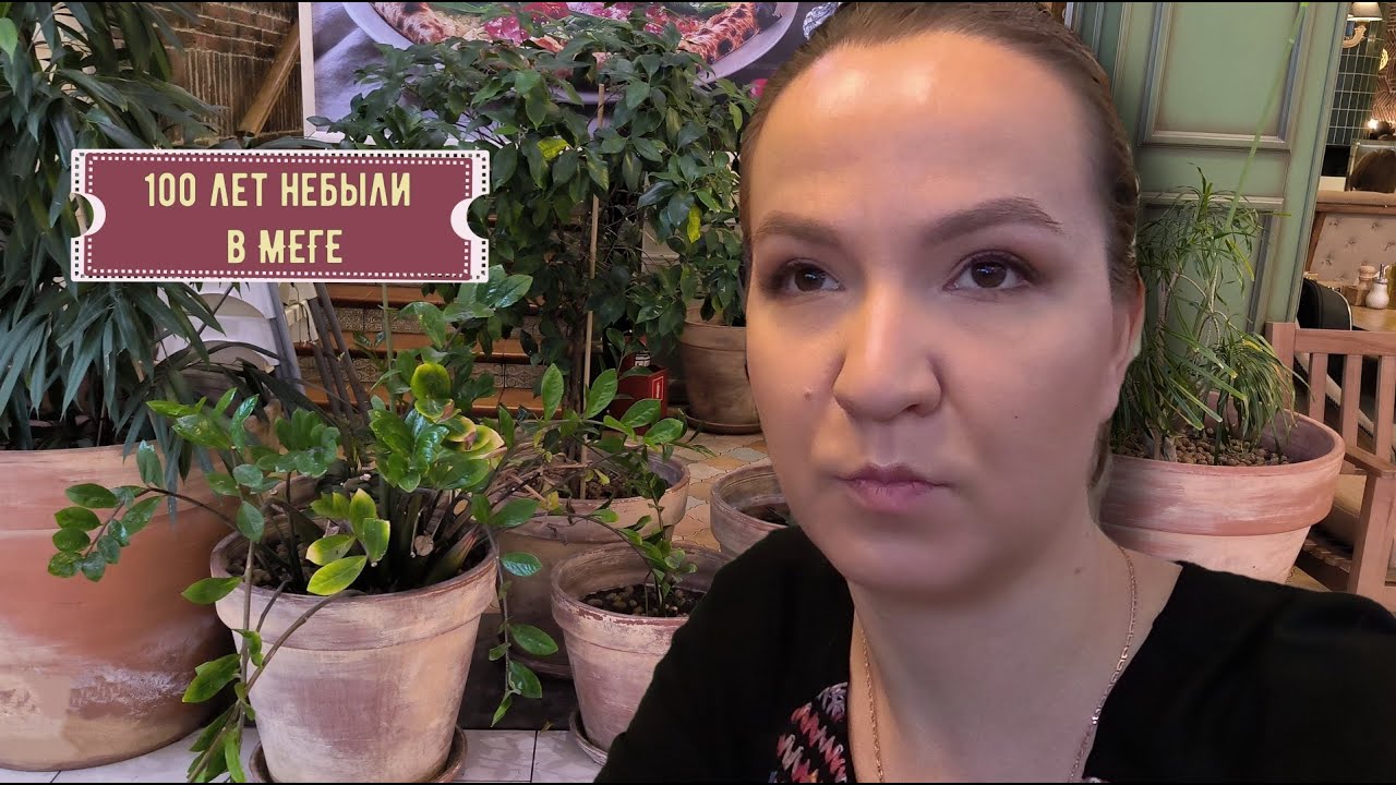Прошлись по меге | Небольшие покупки