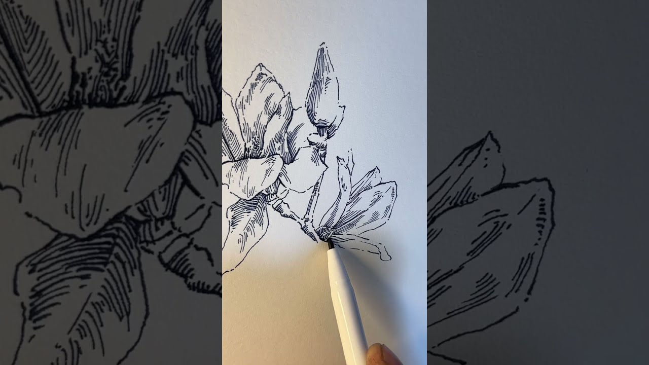 🖋️ Fountain Pen Drawing | Let the Lines Heal You ✨