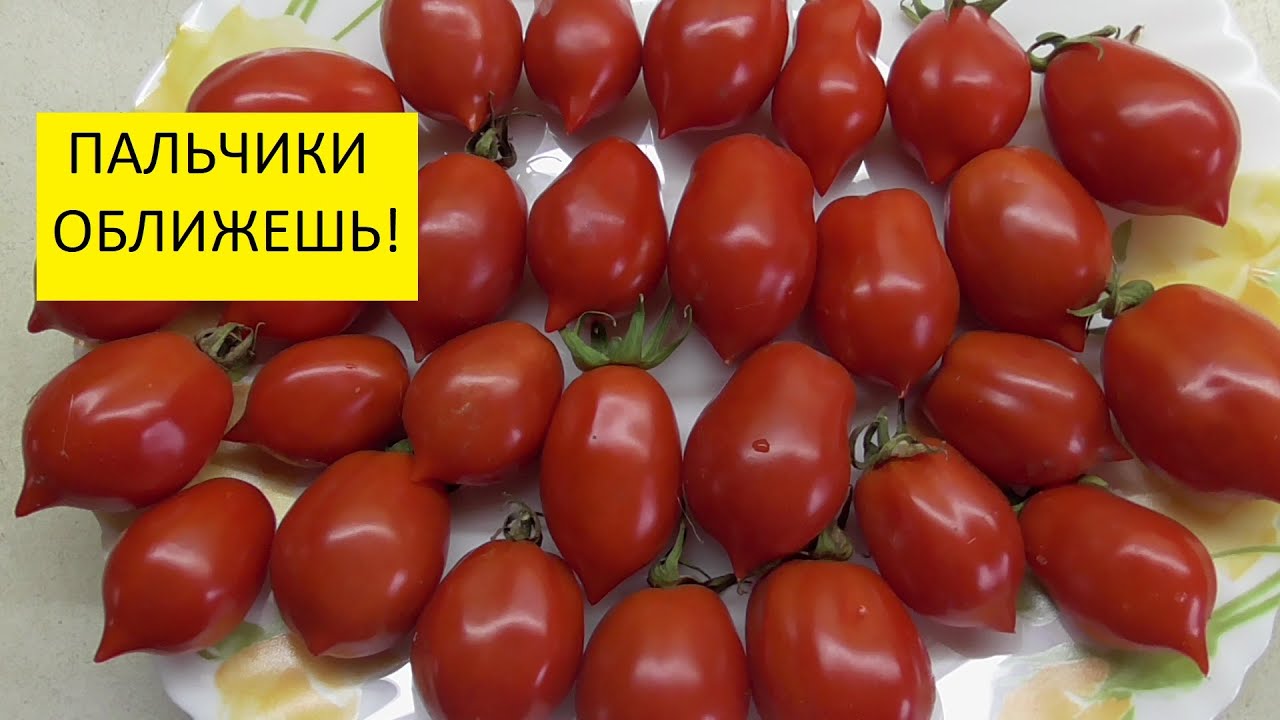 Две Очень Вкусных Закуски из Мелких Томатов! Помидоры запеченные и 