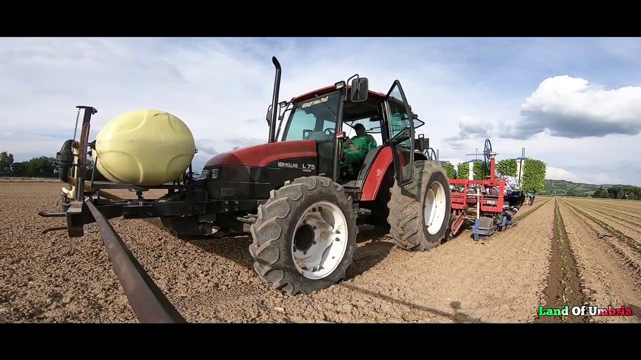 Trapianto tabacco - Topcon | Precision Planting tobacco New Holland e Ford con Ferrari 4 file