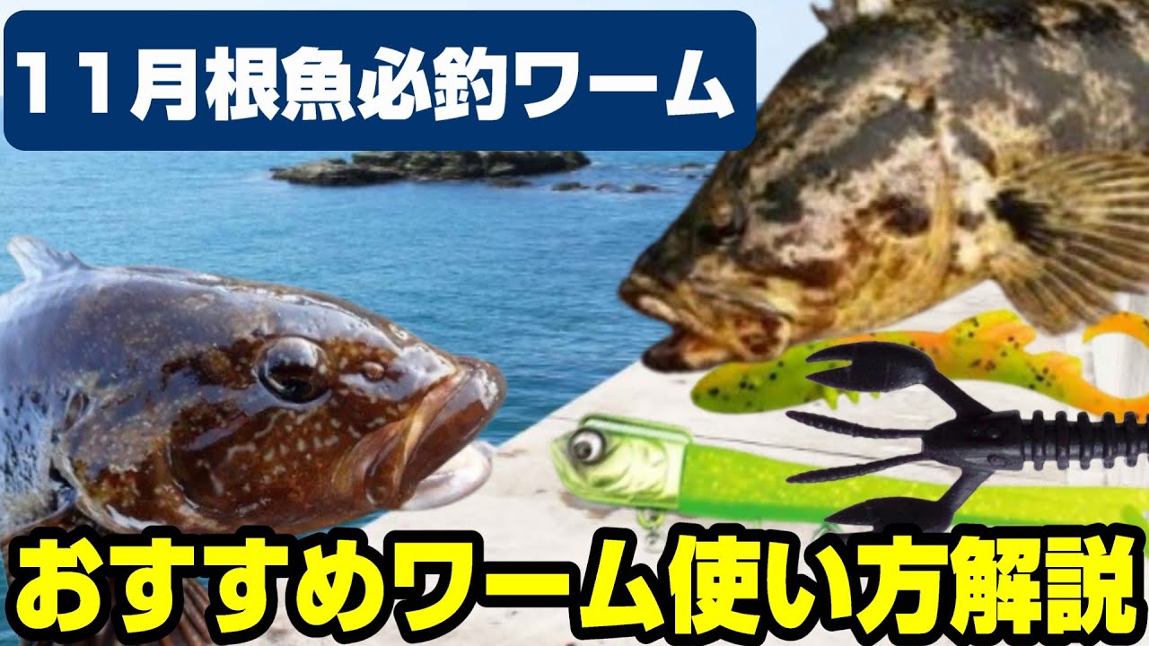 【根魚ワーム】初心者におすすめな11月の初冬におすすめなワーム紹介＆使い方解説！アイナメ・ソイおすすめワーム