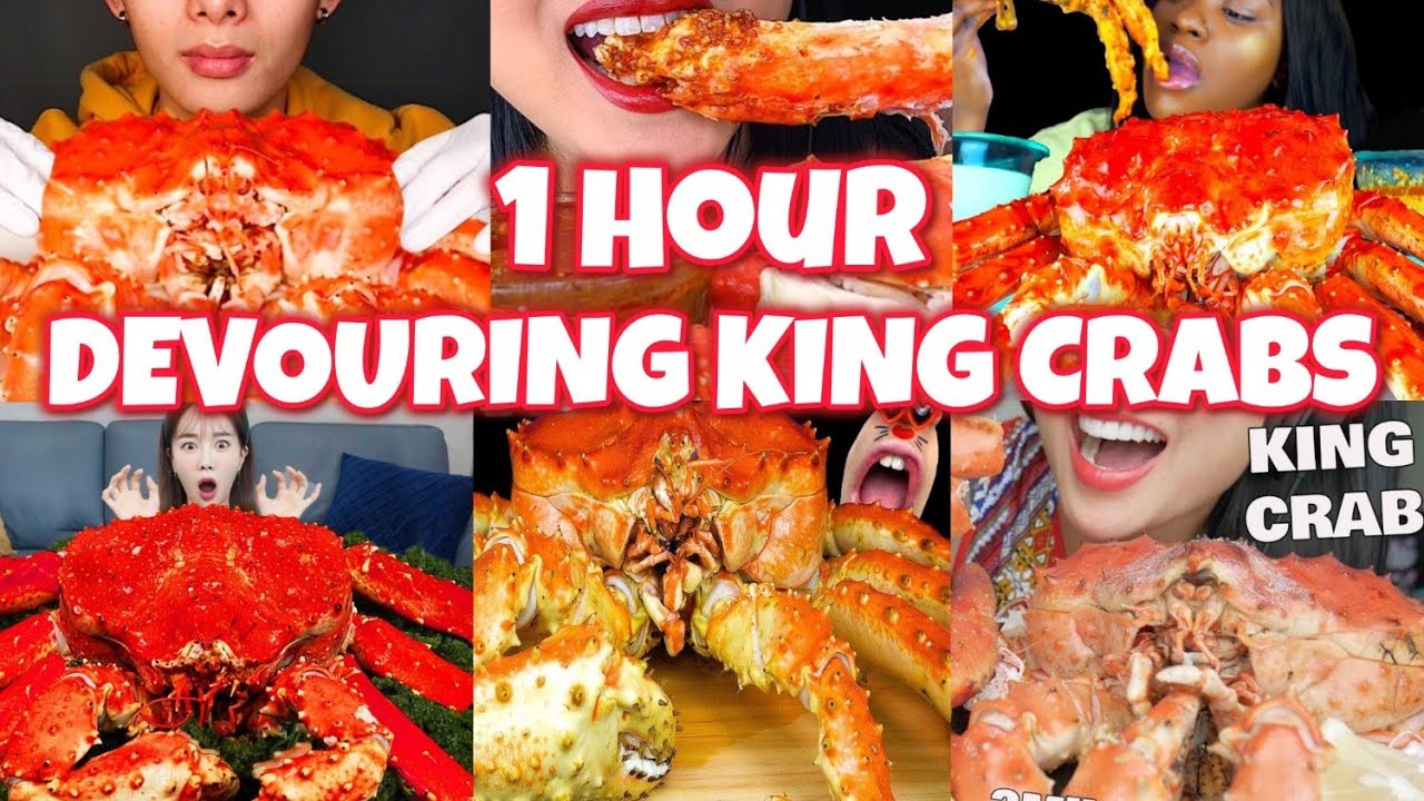 1 HOUR mukbangers bigbites of huge KING CRABS & more SEAFOOD BOIL 🦀🤤🔥🌽🥔 ASMR binge