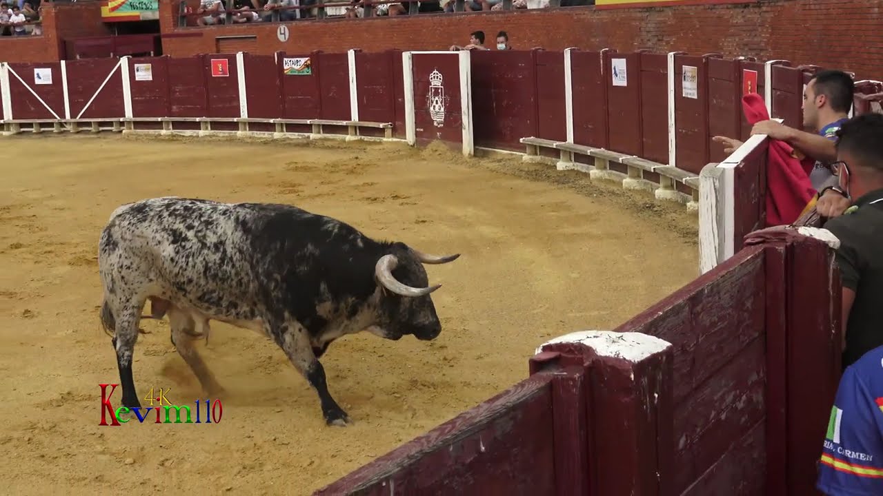Tordesillas (VA) Concurso de Cortes 26-6-21
