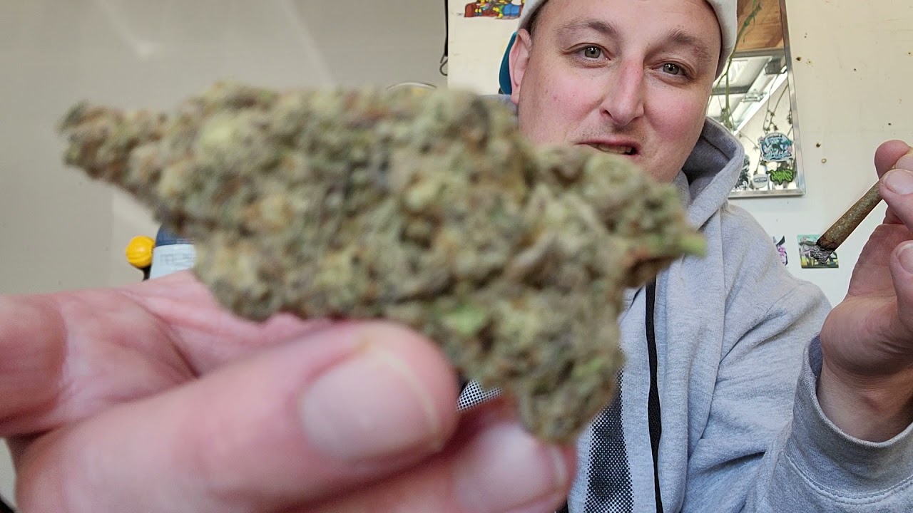 Chronor McGregor Cannabis Review - Miracle Alien Cookies aka Mac or Mac1 bred by Capulator(Caps cut)