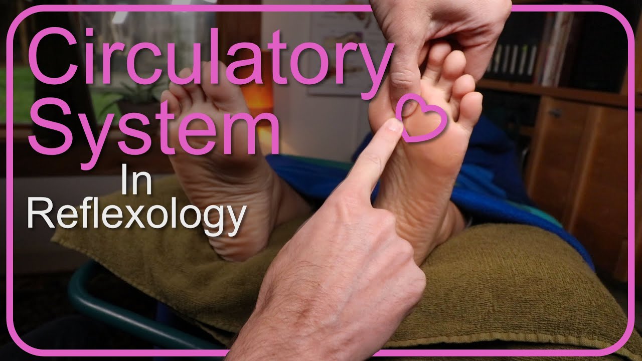How to Work the Circulatory System in Foot Reflexology