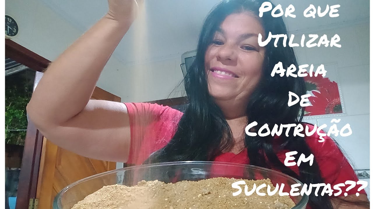 💮💚#areia #poderosa #arenosidade Plantas e Suculentas e cactos, excelente produto para substrato ❤️