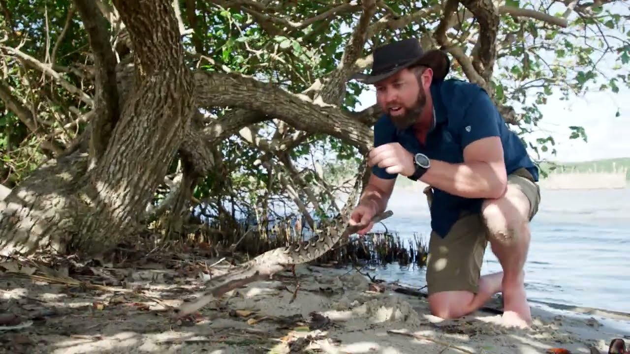 Africa's Most Deadly Snake! (Puff Adder)