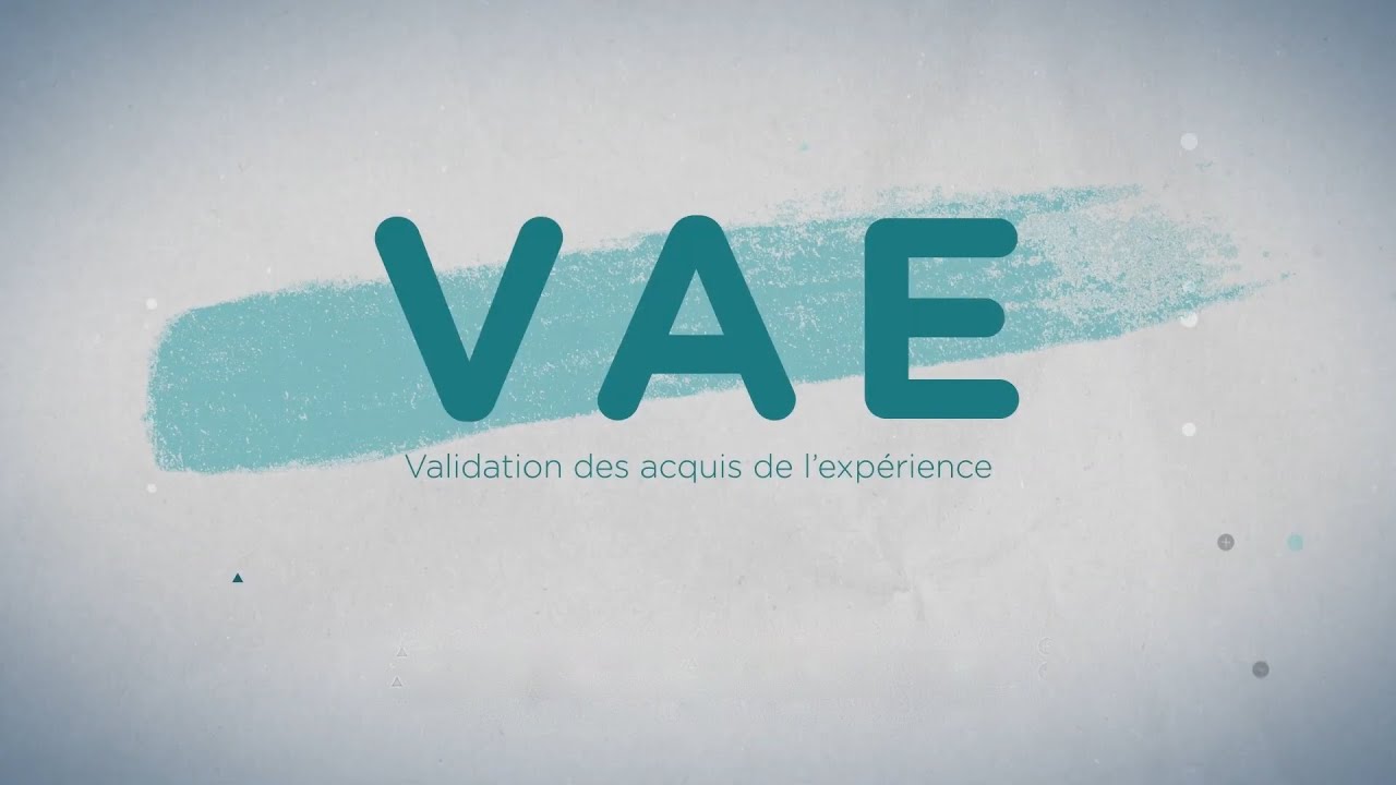 La validation des acquis de l&rsquo;exp&eacute;rience (VAE)