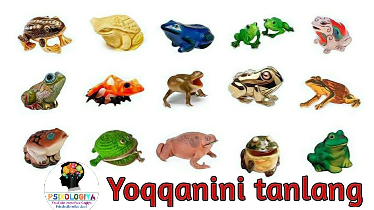 Rasmdagi qurbaqalardan o'zingizga yoqqanini tanlang, Omad va boyligingizni toping. Psixologik test