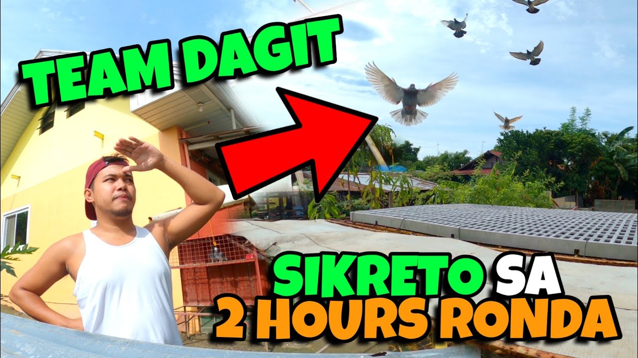 TEAM DAGIT SECRET TECHNIQUE - PAANO MAPAPALIPAD O RONDA NG 2 ORAS ANG MGA KALAPATI NA PANG KARERA🤔