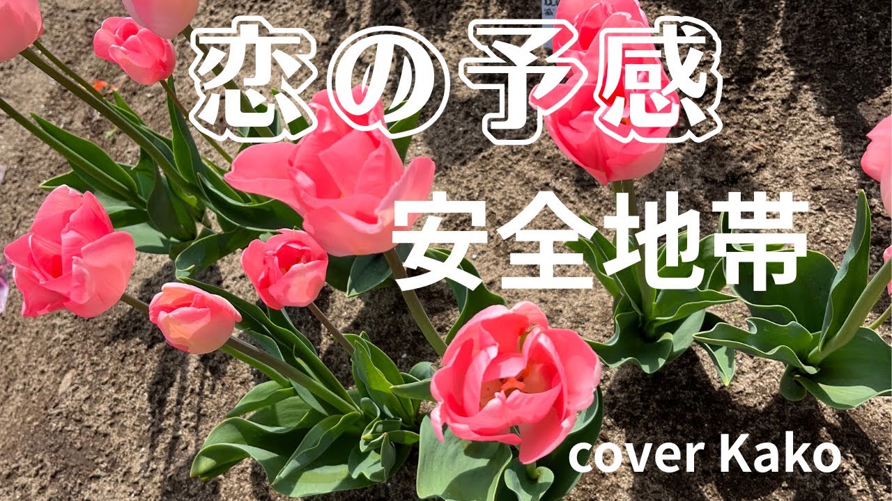 安全地帯「恋の予感 」 Full・歌詞 +3女性キー cover Kako