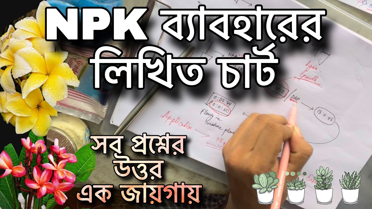 NPK ব্যাবহারের সব তথ্য এক ভিডিও তে। #npk #npkfertilizer #nursery #plants #bouganvillea #viral