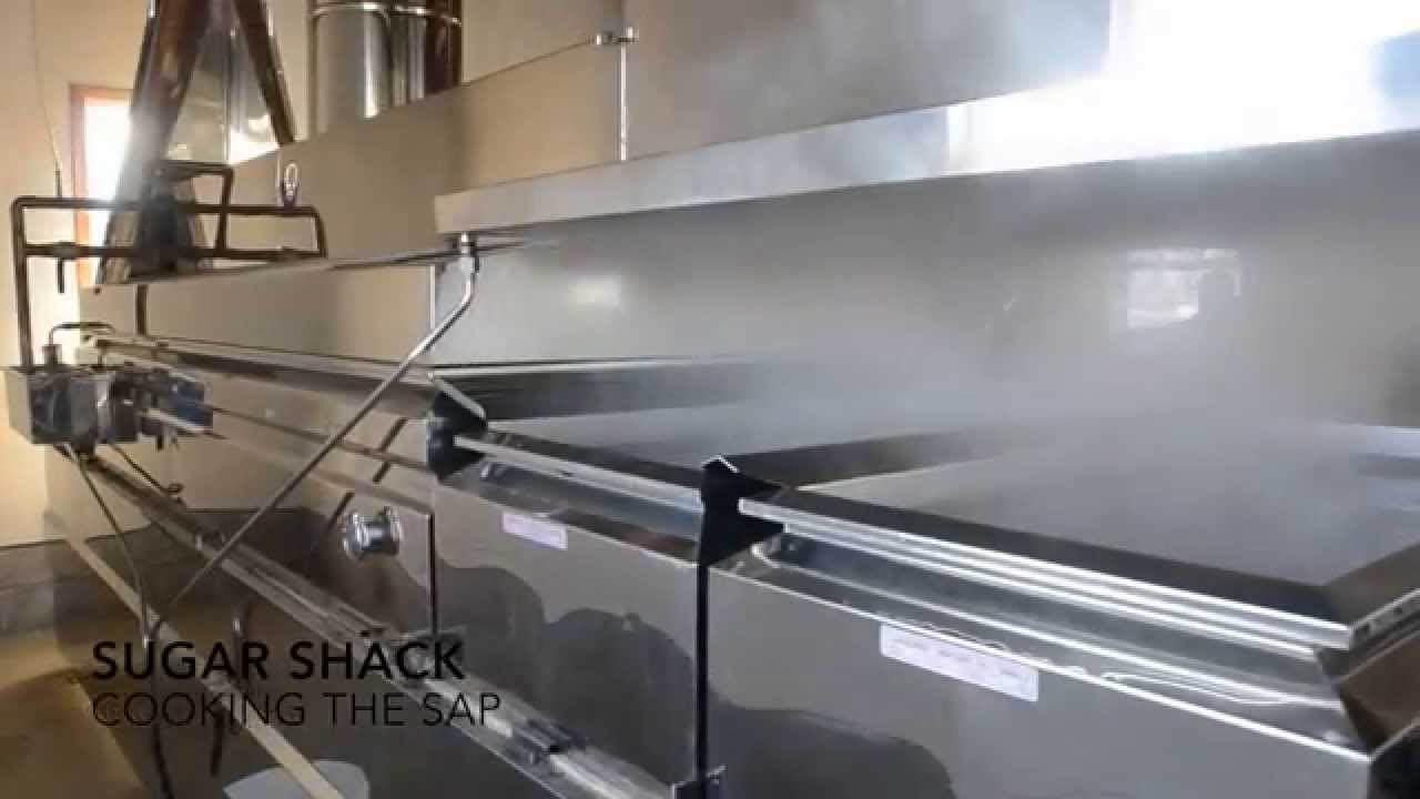 Maple Syrup Production in Huron County Michigan