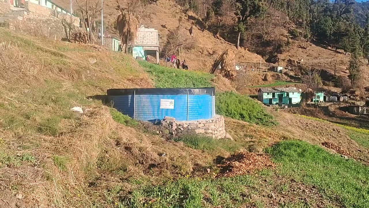 सरसों के खेतों का लहलहाता दृश्य  उत्तराखंड गढ़वाल 