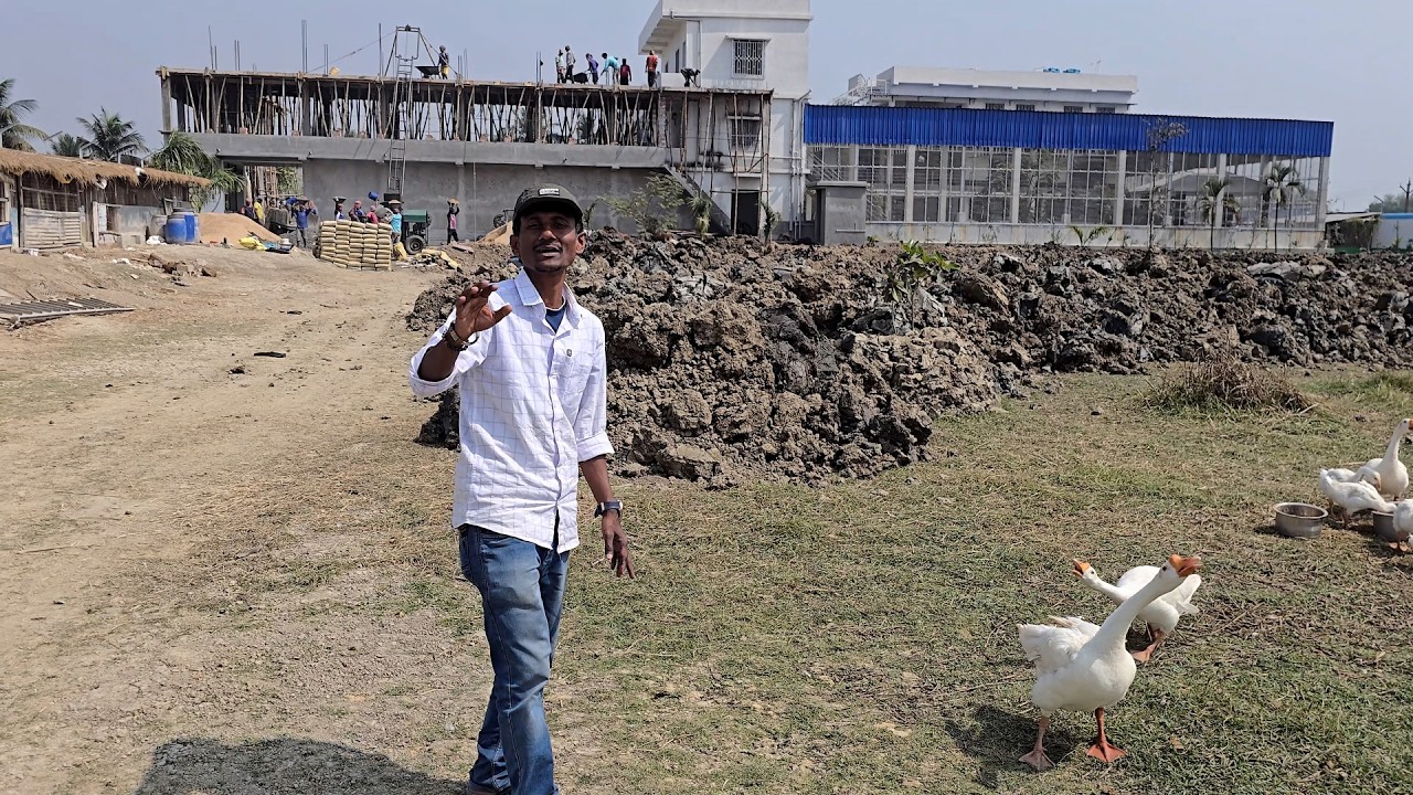 Exotic Parrot Aviary Major Work Is Completed Today At Parrot Dipankar New Farm.