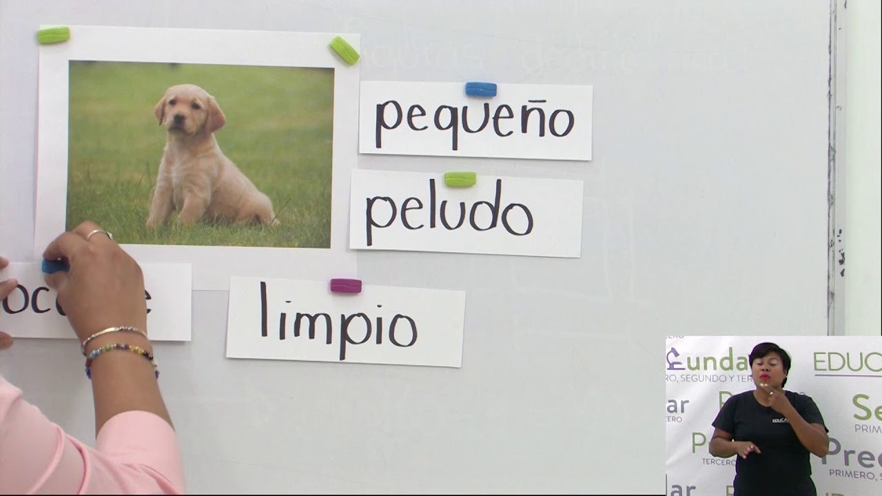 Primaria 1º y 2º clase: 191 Tema: Adjetivos calificativos