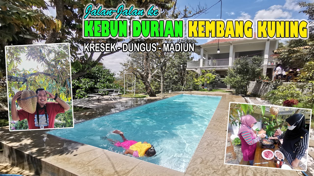 Jalan-Jalan ke Kebun Durian Kembang Kuning I Kresek, Dungus, Madiun