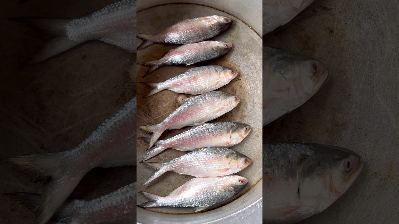 Pulasa Fish Curry Recipe | 60 Years Kakinada Amma Sells 10 Kgs Fish Curry Daily #shorts #foodie