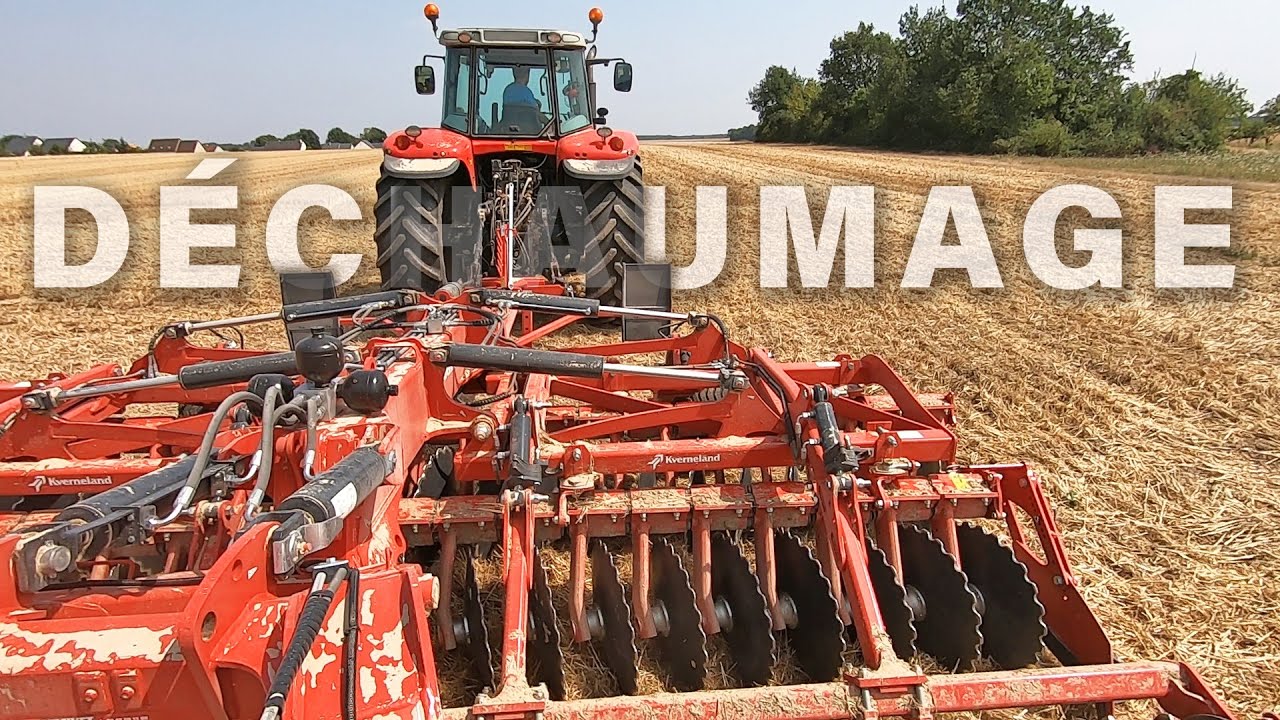 Les premiers hectares du déchaumeur dans les pailles de blé - 2022