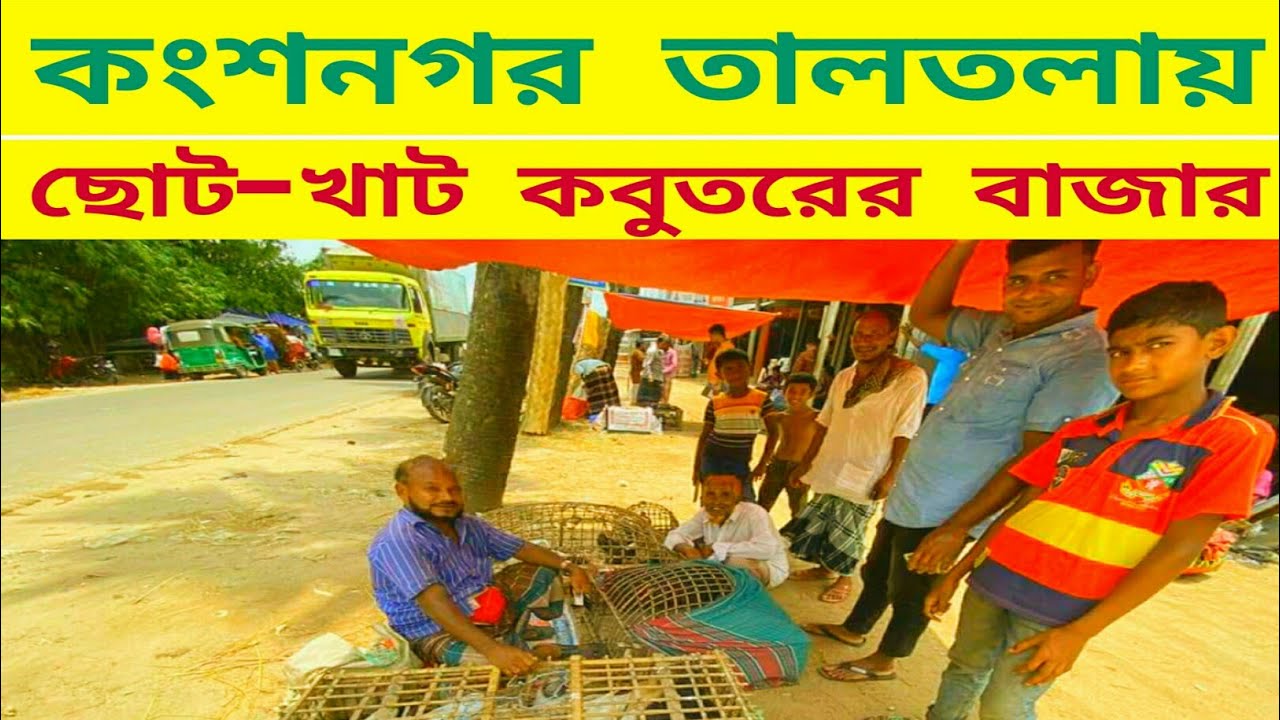 কংশনগর তালতলায় ছোট-খাট কবুতরের বাজার দেখুন | #kobutorpalon#কবুতর_পালন#pigeonfarming#দেশি_কবুতর