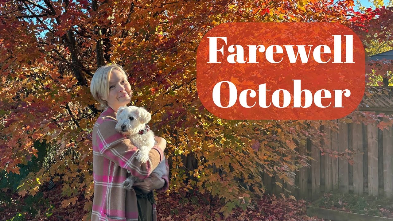 Прощай, октябрь 🍂 Уютный видеоблог 📖 Книги, прогулки и моменты с моей собакой 🐶📚