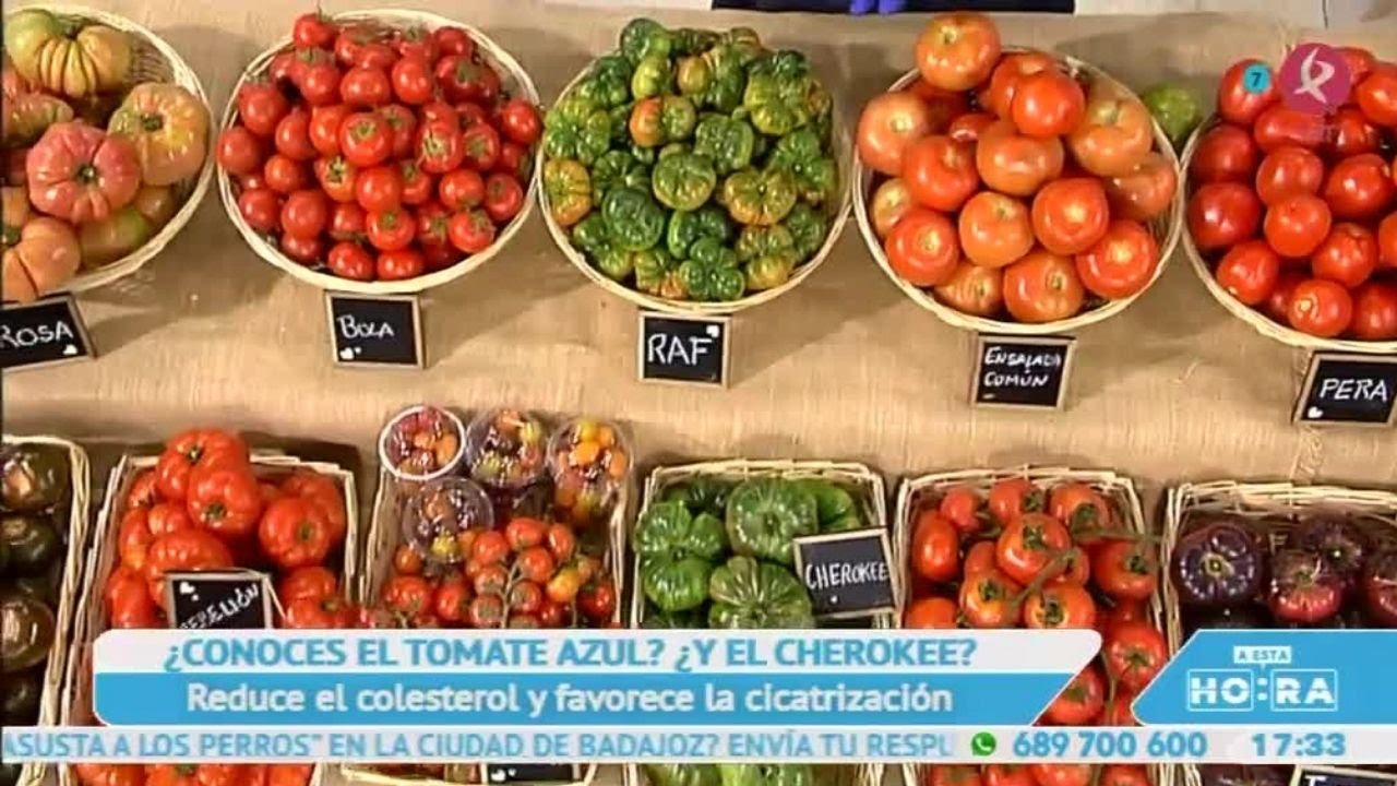 Variedades, trucos y virtudes del tomate que todo extremeño debería conocer | A esta hora