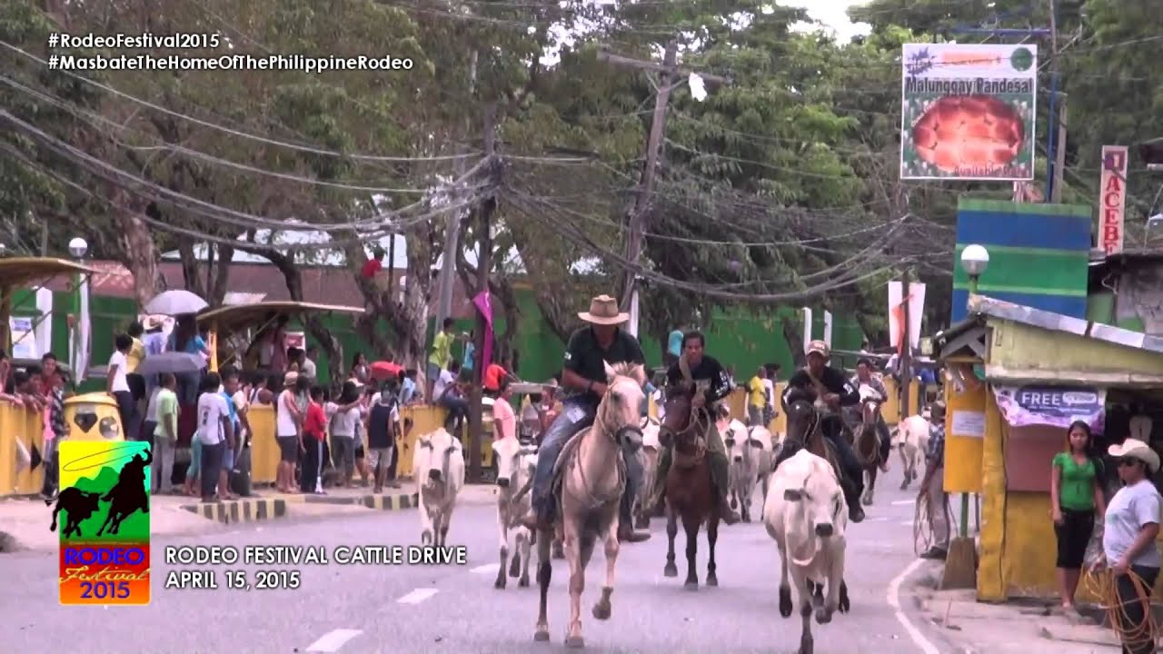 Cattle Drive (Rodeo  Festival 2015)