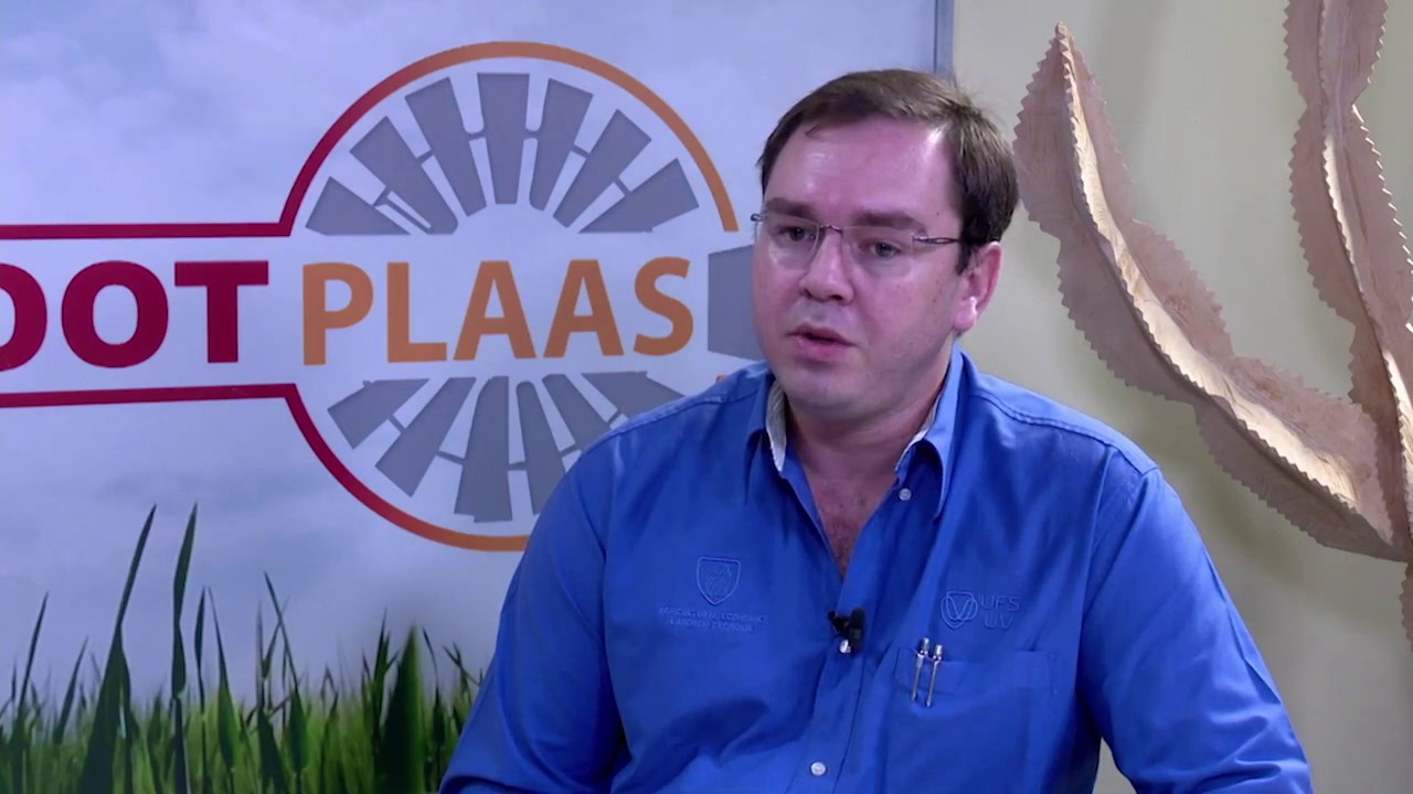 Grootplaas: Frikkie Maré, UFS, Intensiewe skaapboerdery