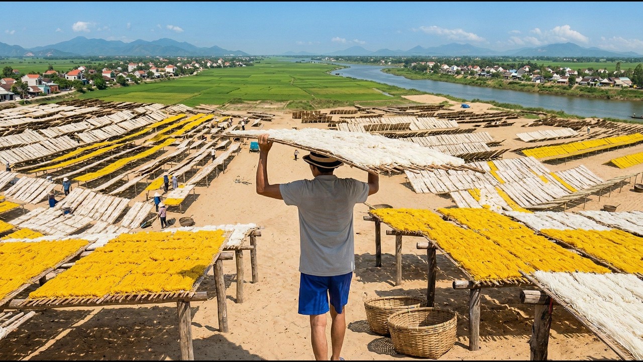 Massive Rice Noodle Drying Field in Vietnam - Traditional Family Craft  (Daily Life)