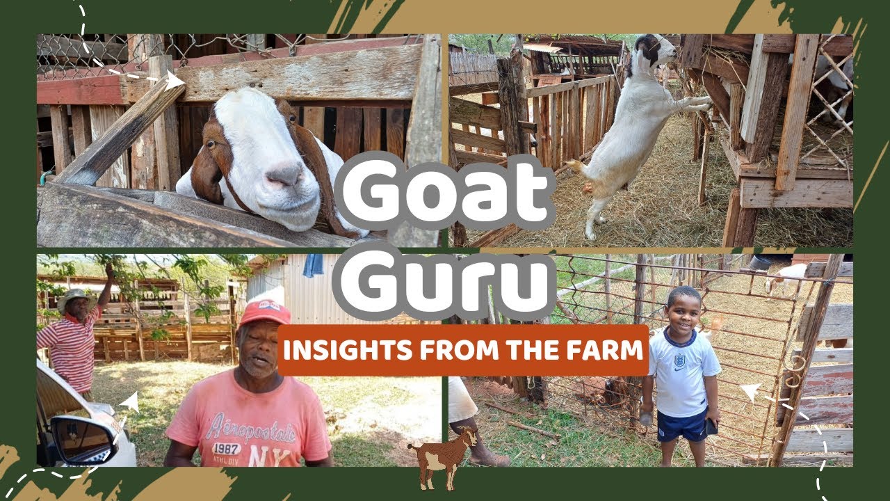 Guess what we saw on the Goat Guru's Farm.........?