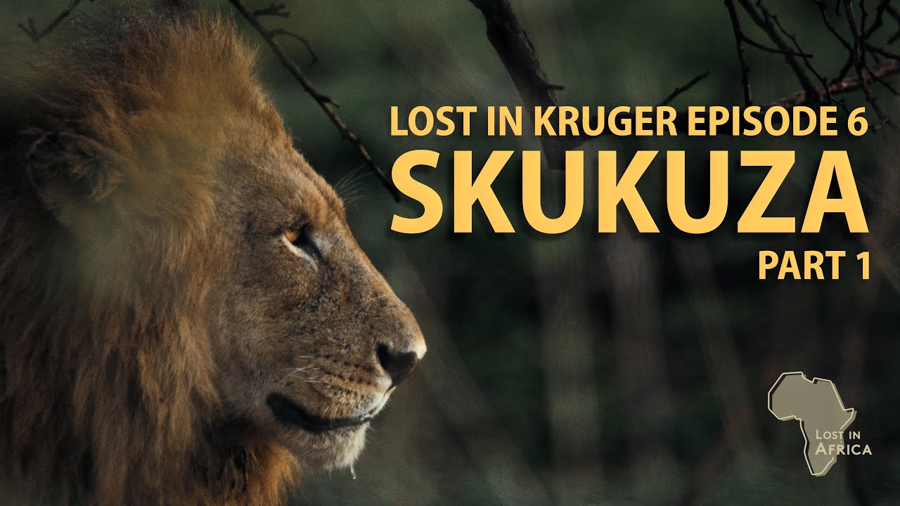 SKUKUZA - The best GAME VIEWING in South Africa - Lost in Kruger Episode 6