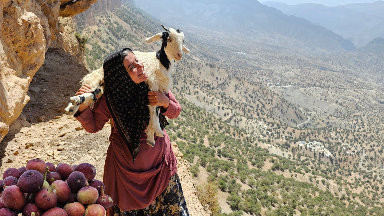 ⛰️🐑 Kulthum's incredible story: from baking bread to rescuing a goat in the mountains 🌄💪