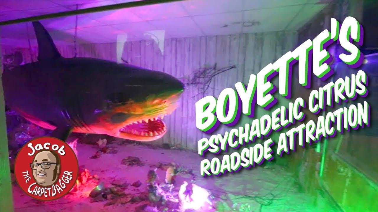 Psychedelic Roadside Attraction - Boyette’s Citrus Attraction
